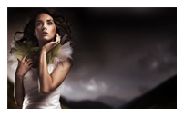 网站攻击软件工具